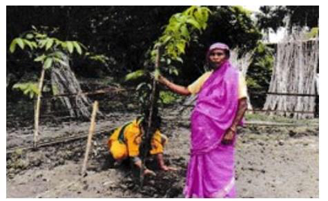 বিশ্ব পরিবেশ দিবসে গাছ বিতরণ ও বৃক্ষরোপণ কর্মসূচি - PDF page 10